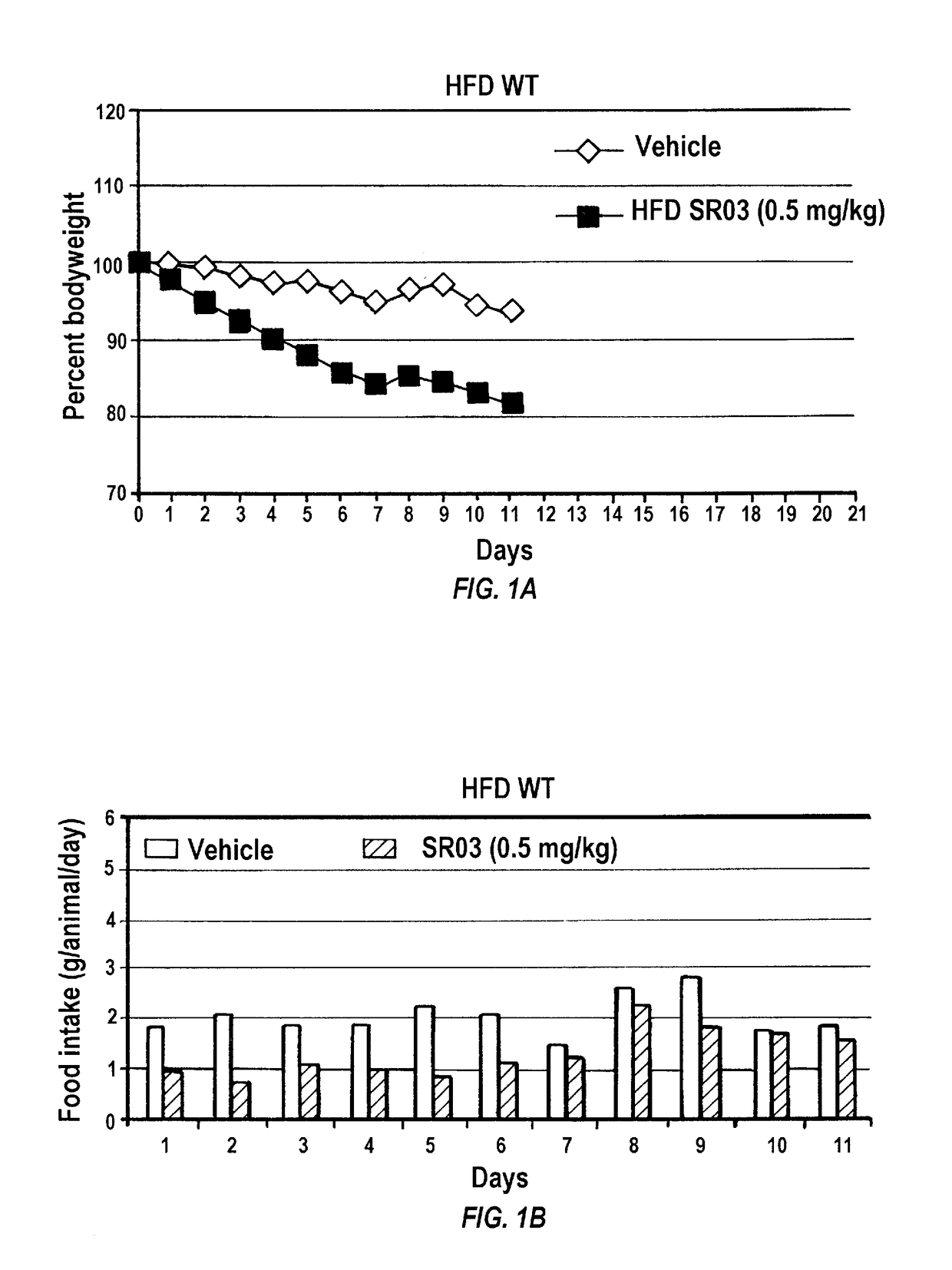 Hsp90 inhibitors for the treatment of obesity and methods of use thereof