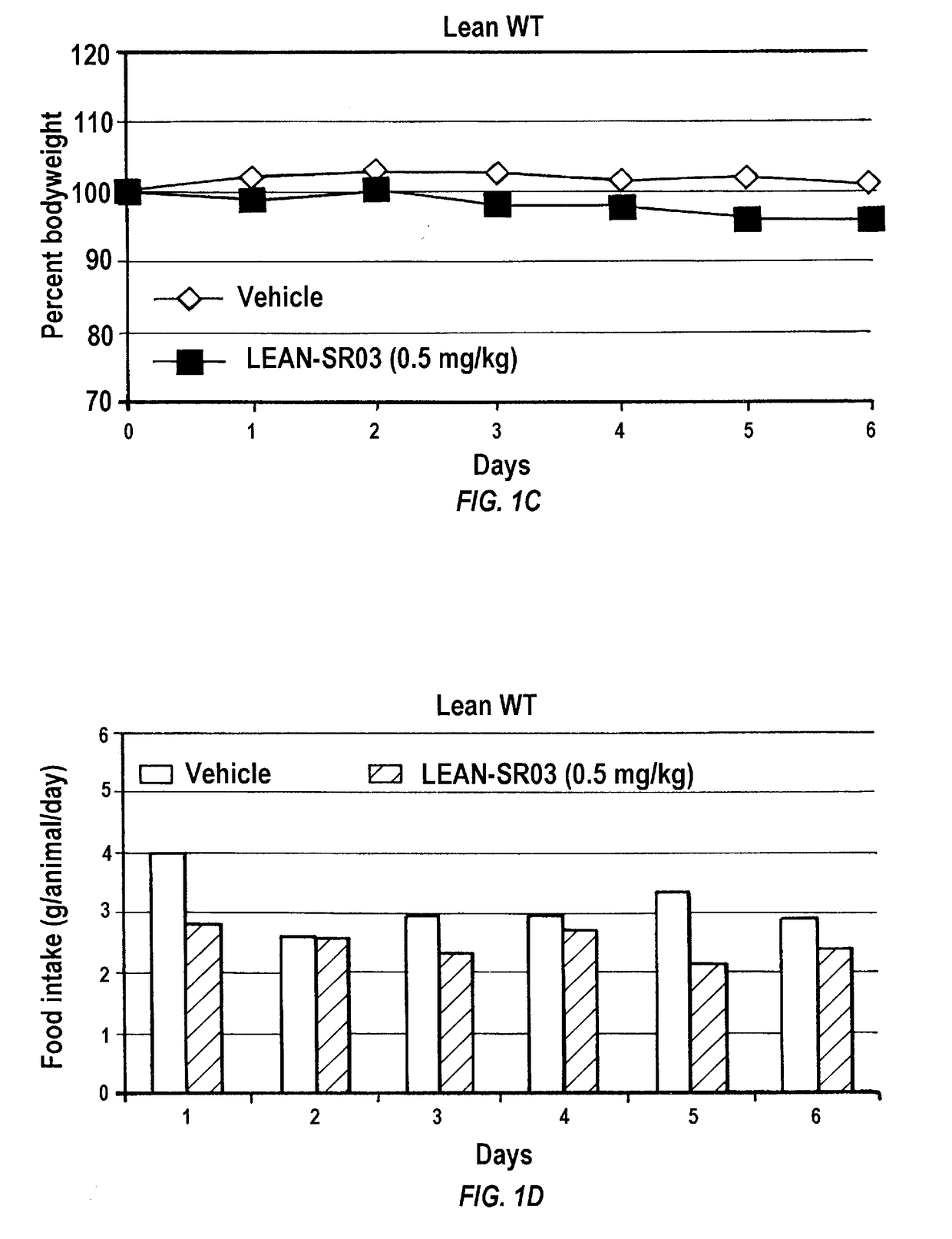 Hsp90 inhibitors for the treatment of obesity and methods of use thereof