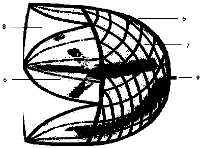 Thrombus intercepting device for aorta ascendens and use method of device