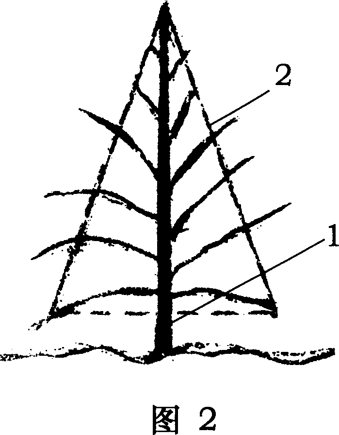 Method for pruning and training tree for four-tree and fleaban growing planting type forestation