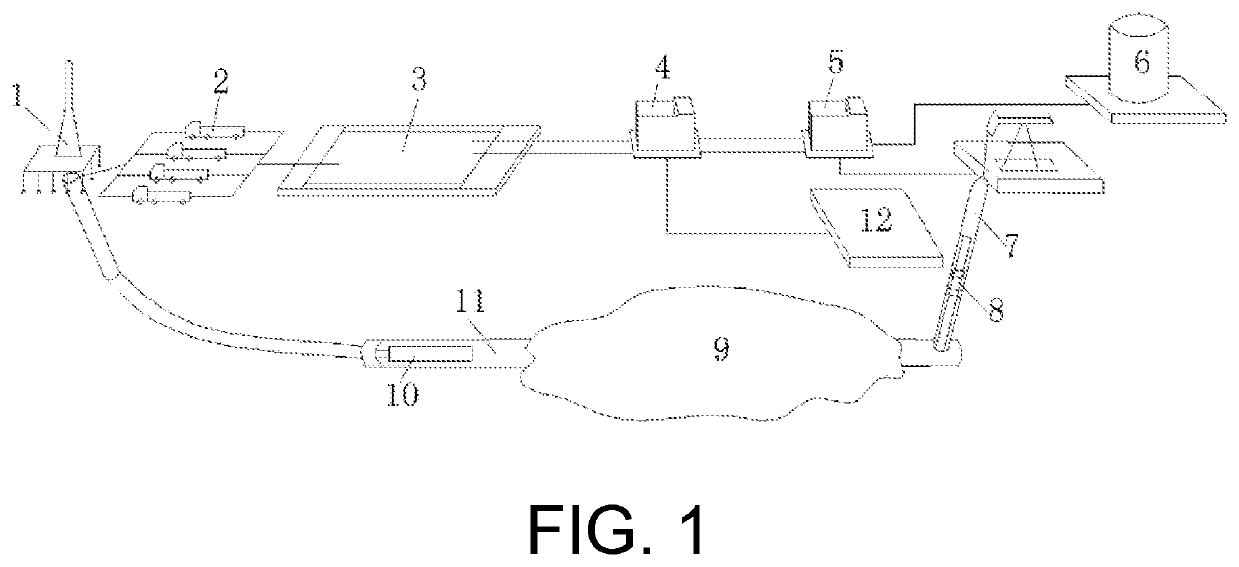 System for extracting gas from tectonically-deformed coal seam in-situ by depressurizing horizontal well cavity