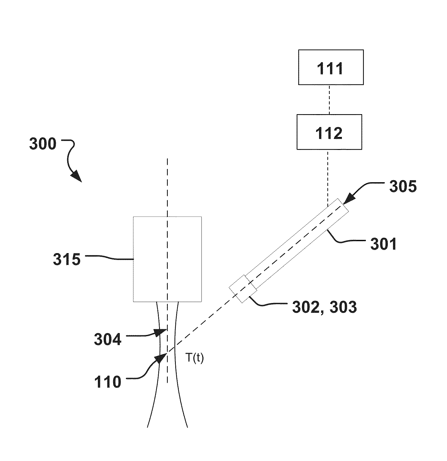 Magnetomotive Probe System And Method Of Use Thereof