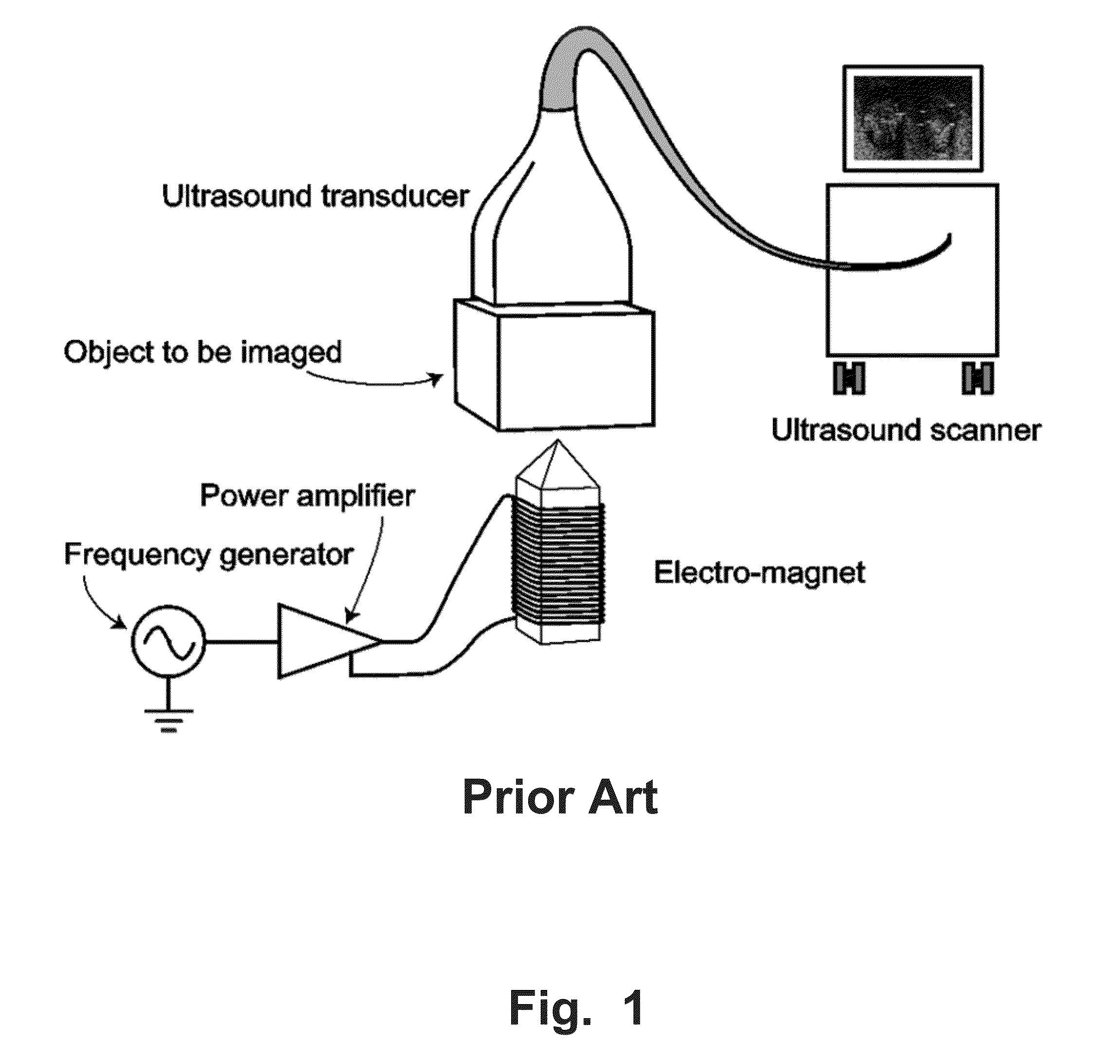 Magnetomotive Probe System And Method Of Use Thereof