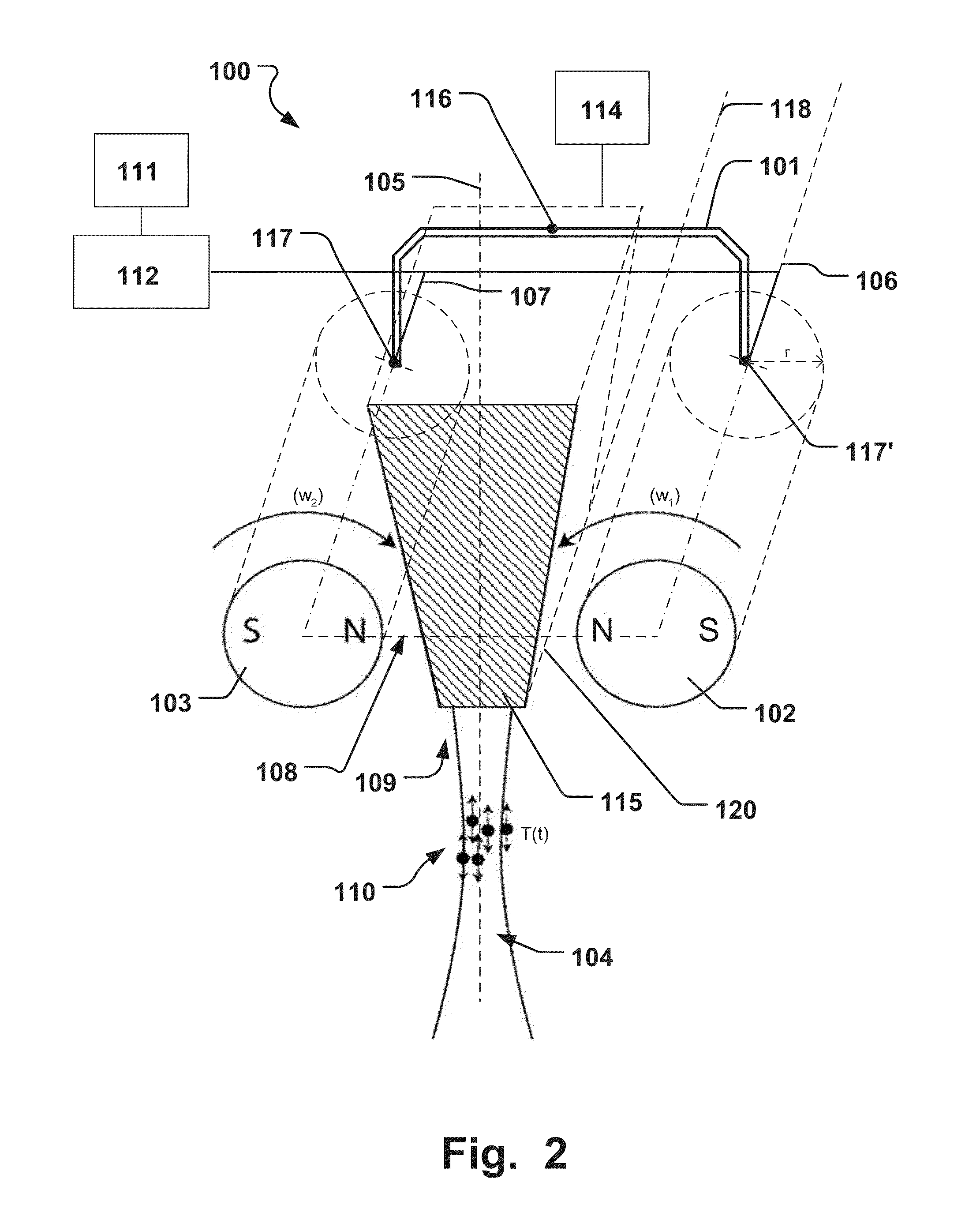 Magnetomotive Probe System And Method Of Use Thereof