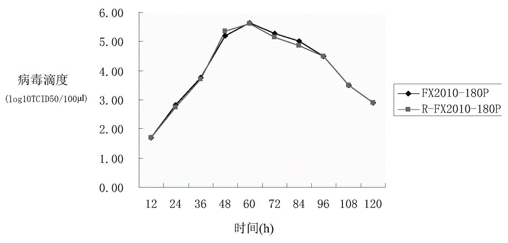 Duck tembusu virus (DTMUV) infectious clone attenuated vaccine strain and preparation method and application thereof