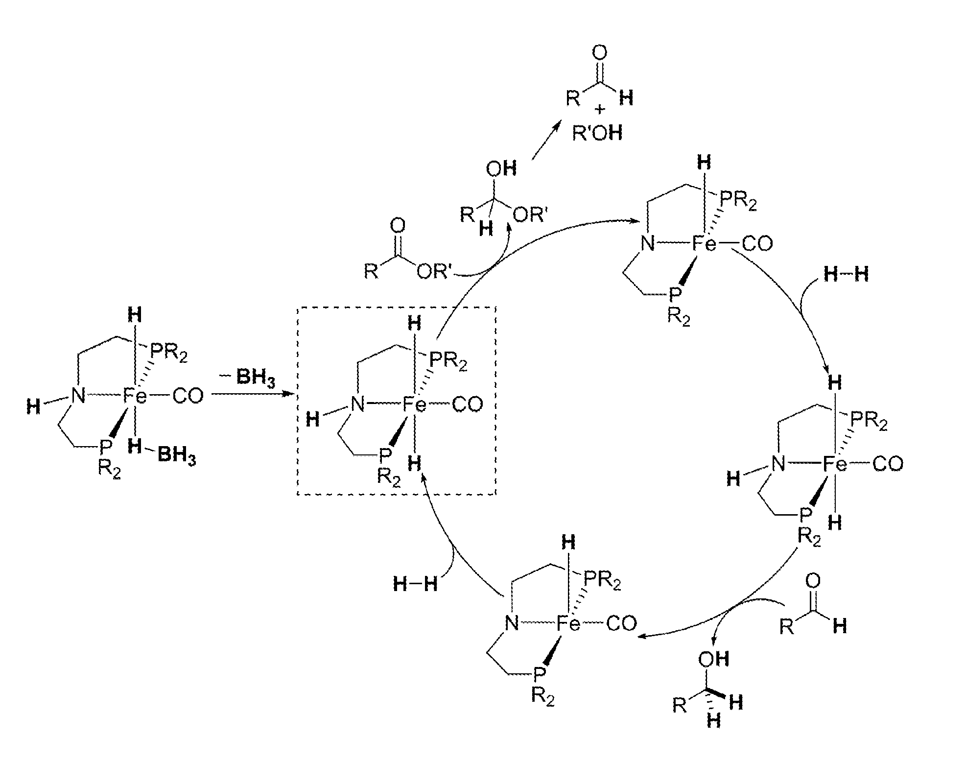 Homogeneous Hydrogenation of Esters Employing a Complex of Iron as Catalyst