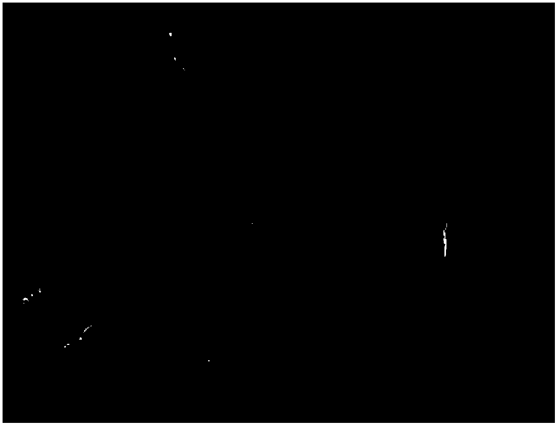 Method for constructing and expressing micro ribonucleic acid (miRNA) target simulation sequence by using plant virus vector