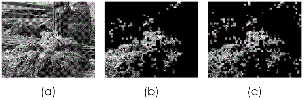 Method for extracting video texture characteristics based on fuzzy concept lattice