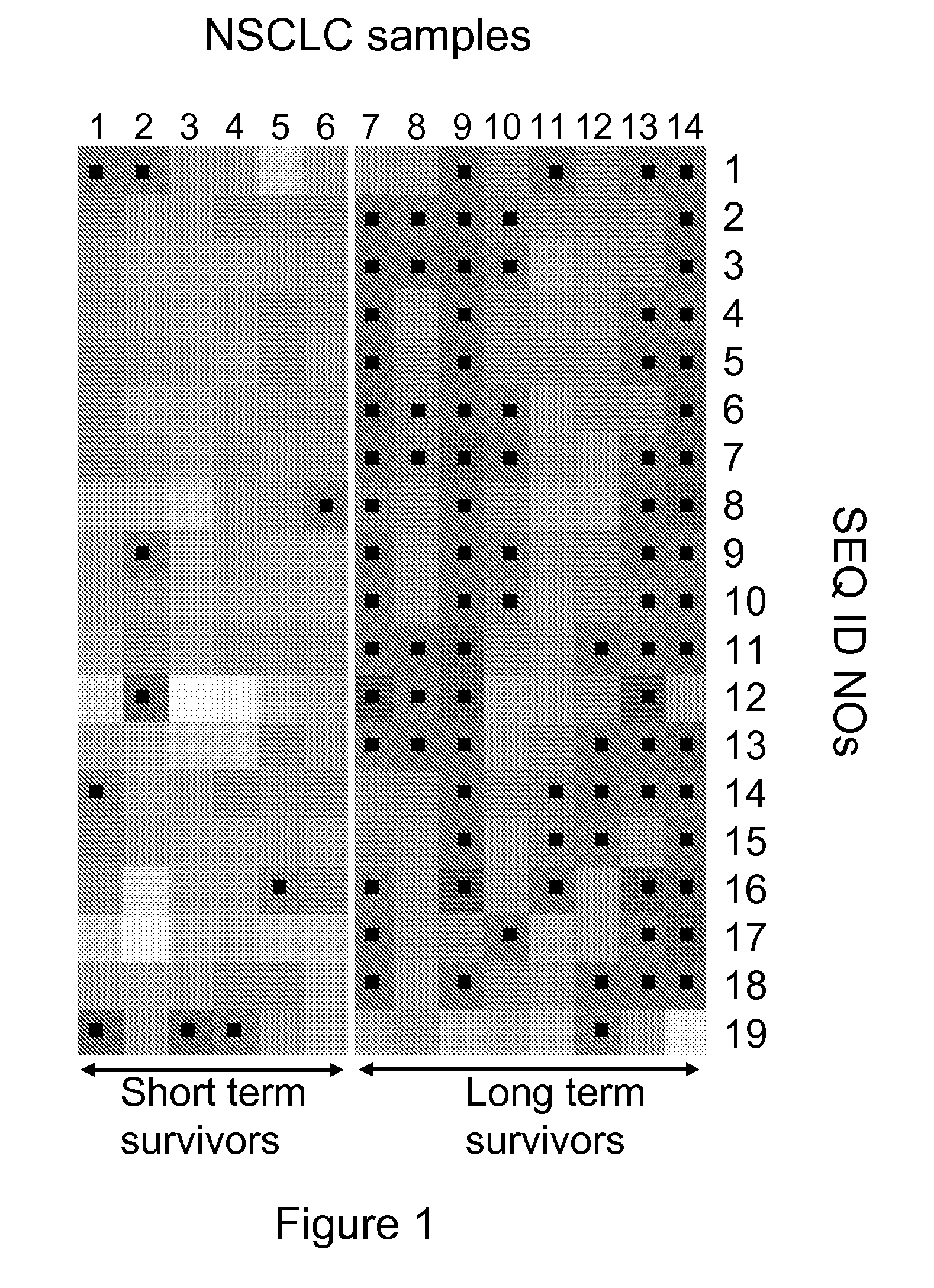 Method for determining surivival prognosis of patients suffering from non-small cell lung cancer (NSCLC)