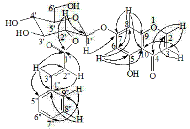 Extraction separation method of chromone glycoside compound and application of chromone glycoside compound in preparation of analgesic anti-inflammatory medicine