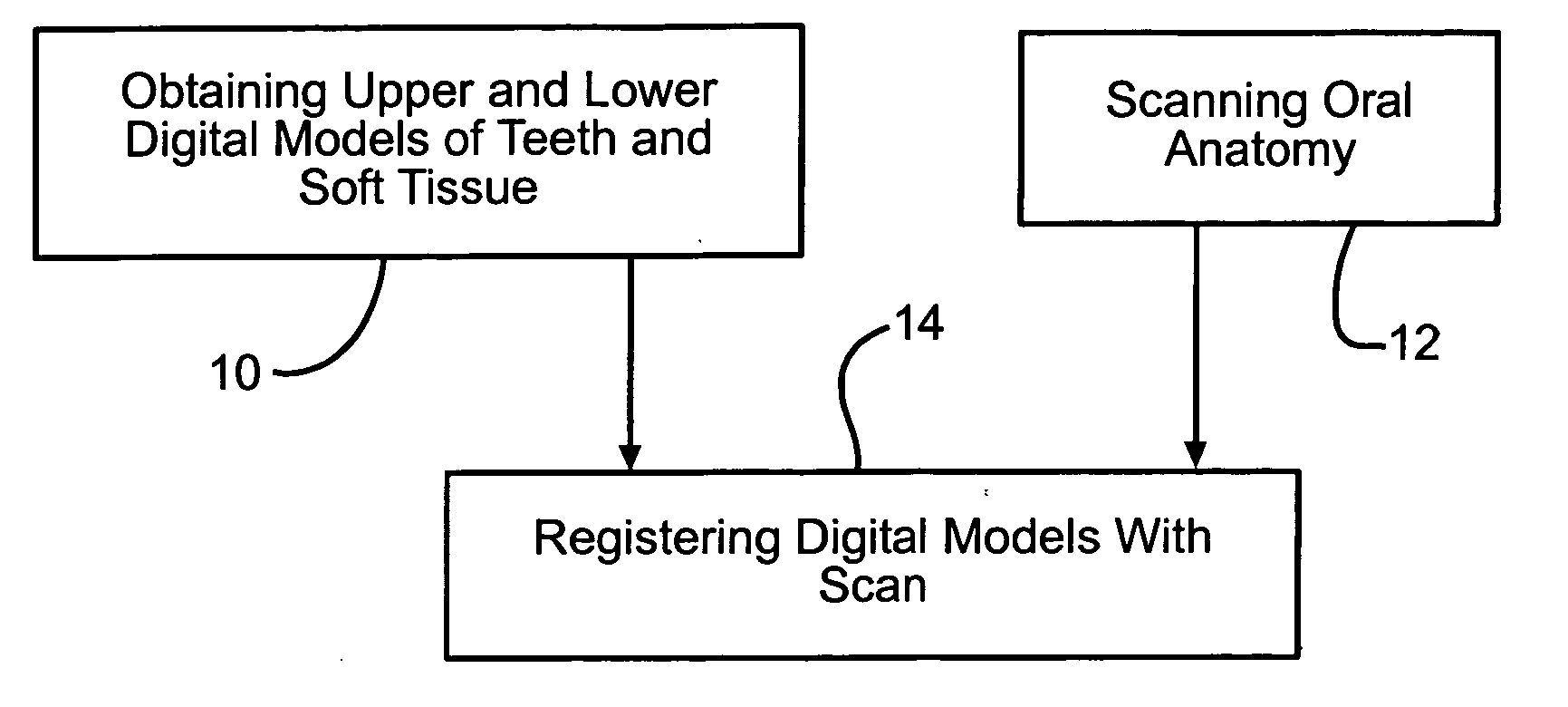 Four dimensional modeling of jaw and tooth dynamics