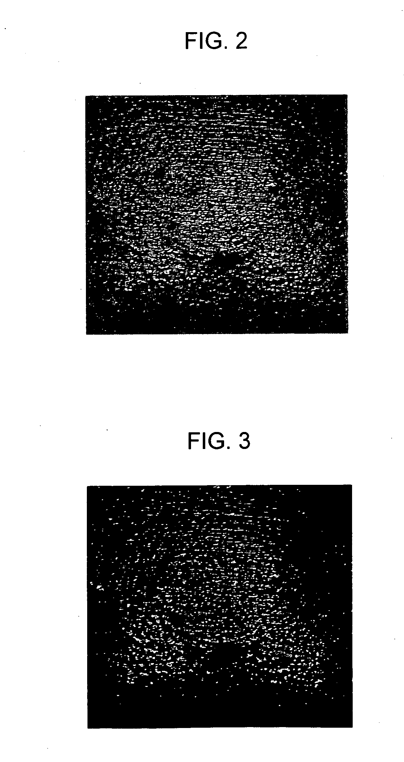 Skin evaluation method and image simulation method