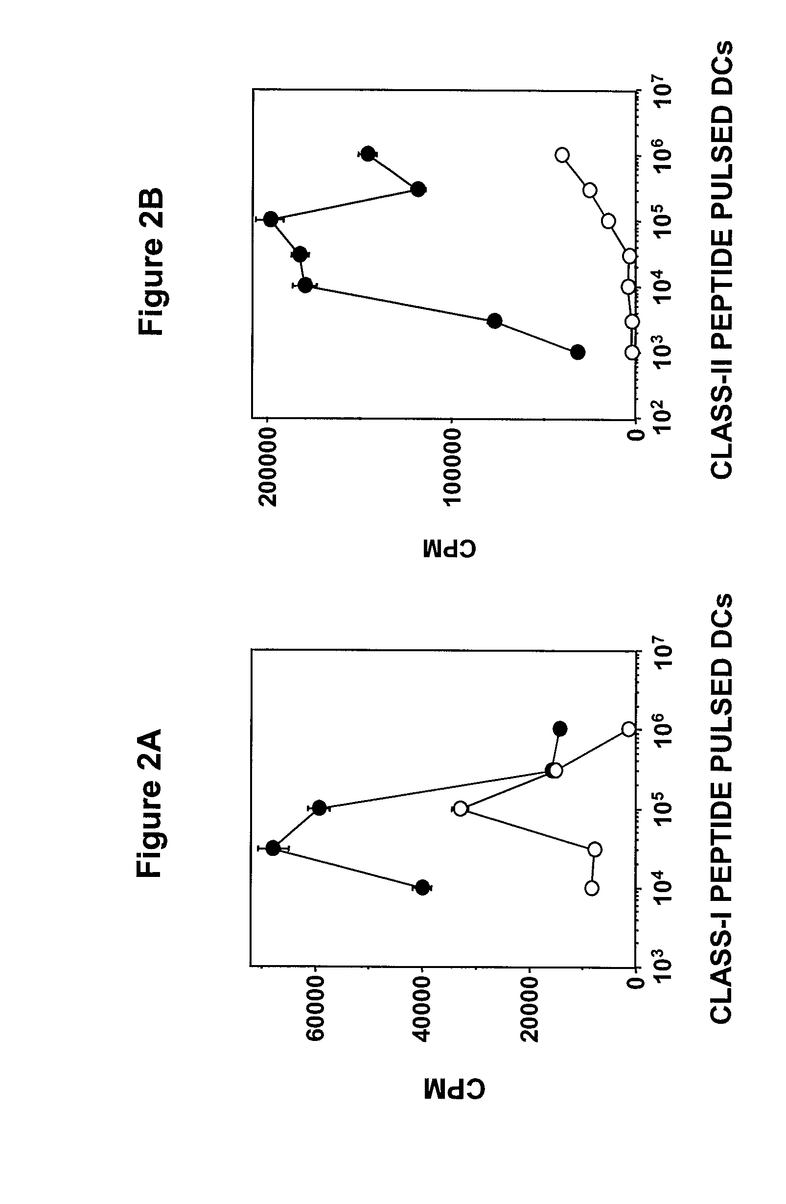 Methods and molecules for modulating an immune response