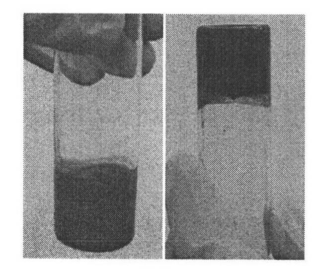 Self-assembly preparation method and application of solid/liquid interface of graphene oxide hydrogel
