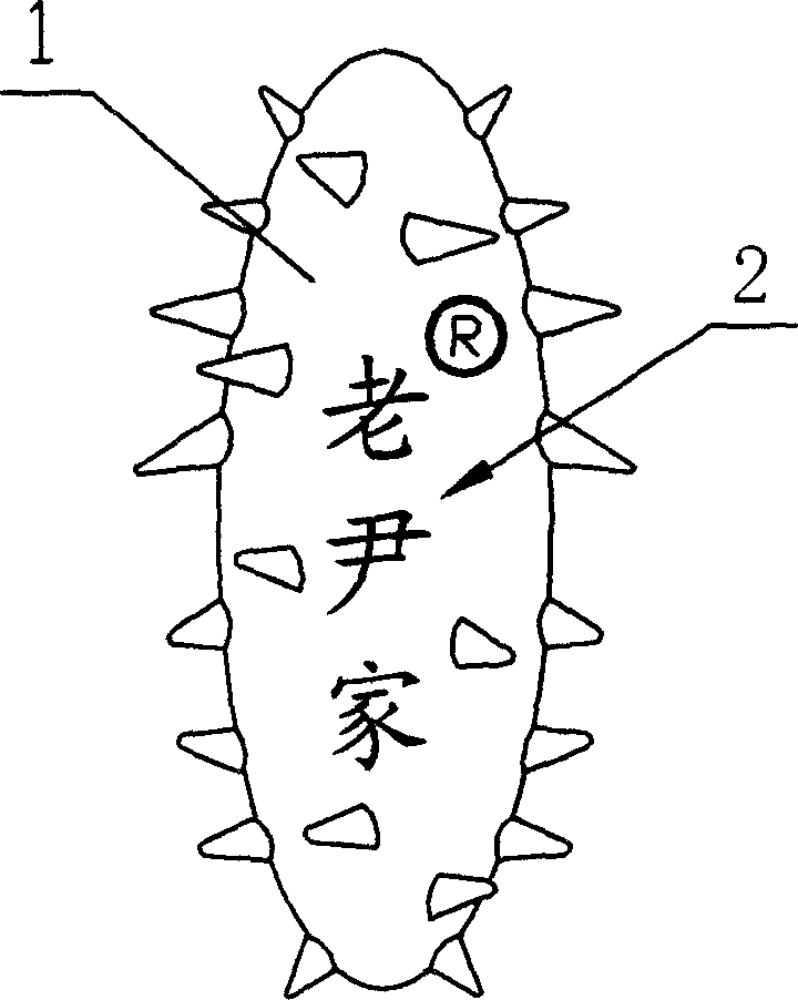 Method for carving mark on sea cucumber