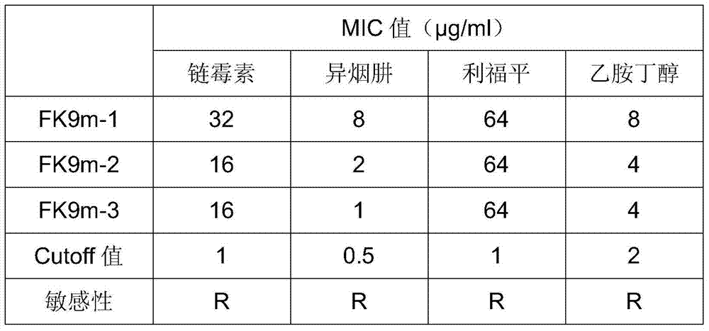 A new drug-resistant gene of Mycobacterium tuberculosis and its application