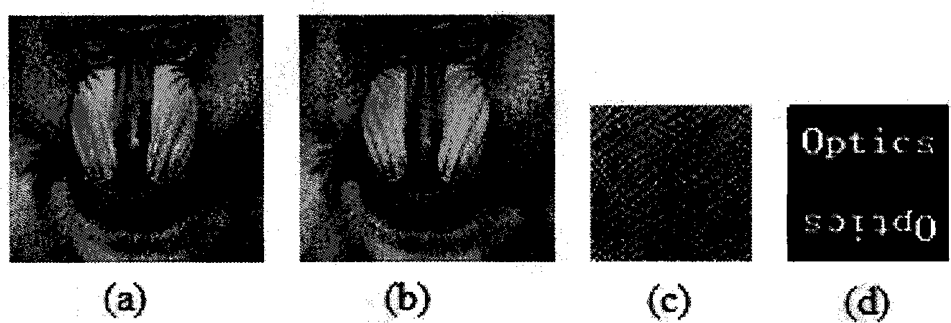 Method for generating hologram digital watermarking by appliance computer