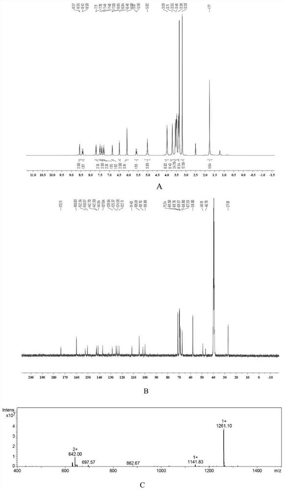 CYPY and application thereof in preparation of antitumor drugs