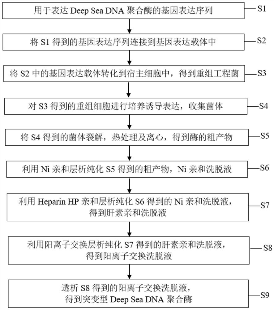 A kind of dna polymerase and its preparation method and application