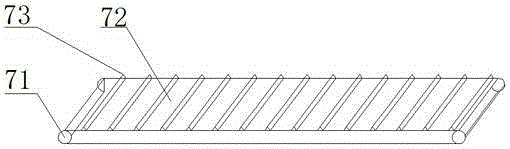 Low-temperature drying device for camellia seeds