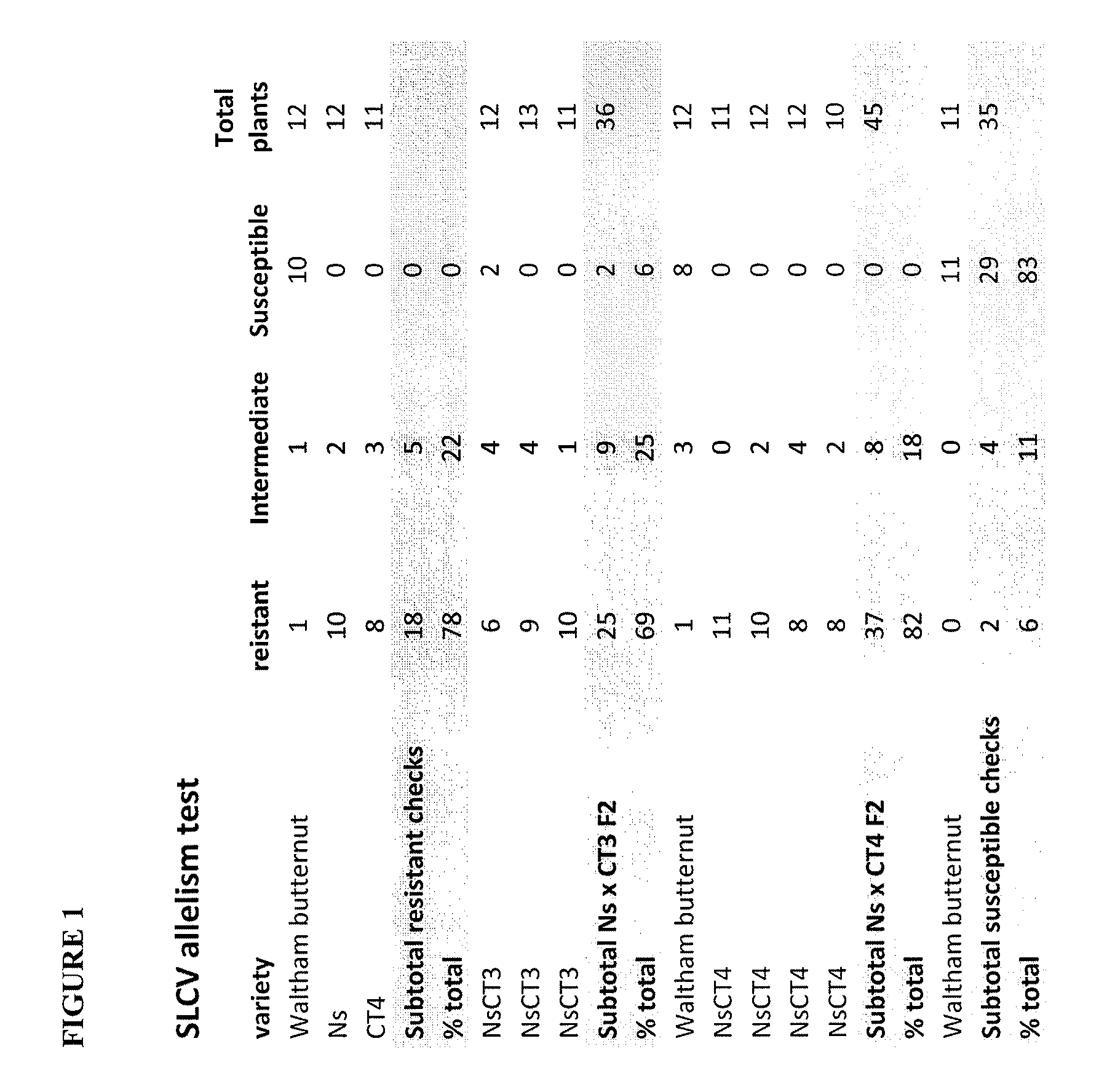 Squash leaf curl virus (SLCV) resistance in cucurbits