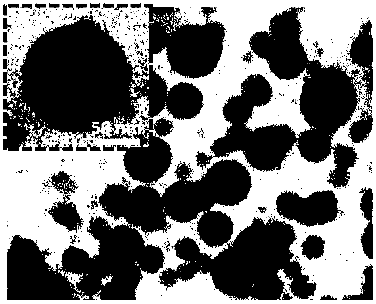 Macromolecular micro-particle and preparation and application thereof