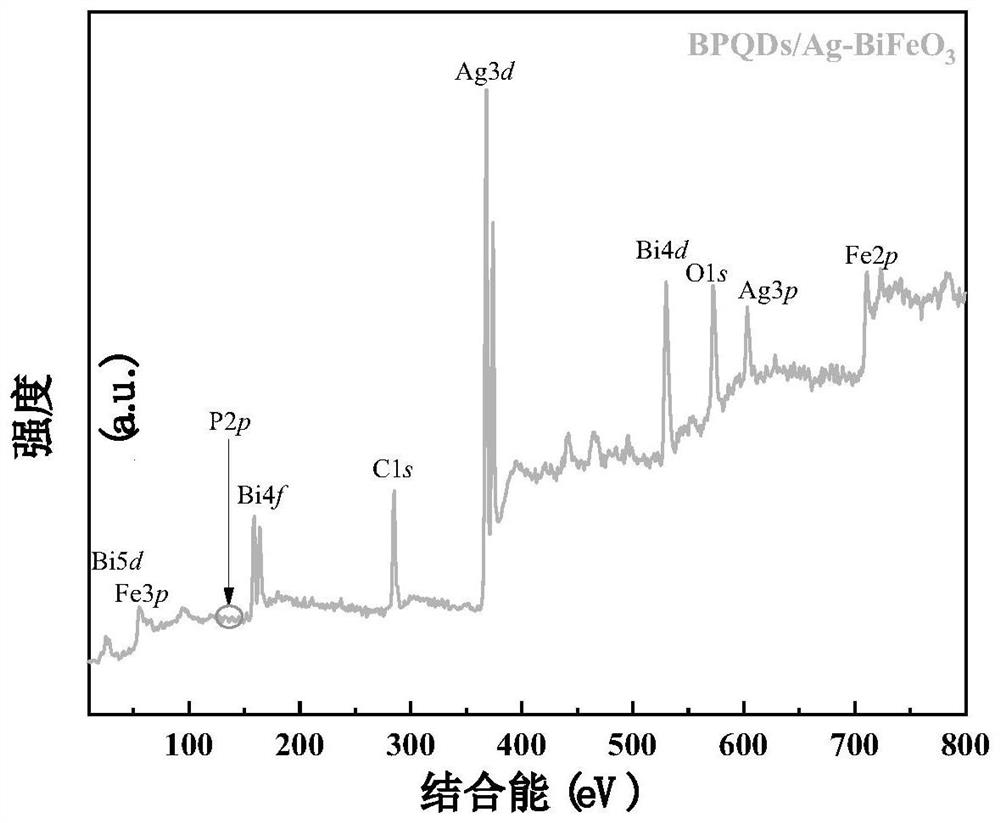 Catalyst for rapidly activating persulfate to oxidize and degrade antibiotic wastewater as well as preparation and application methods of catalyst