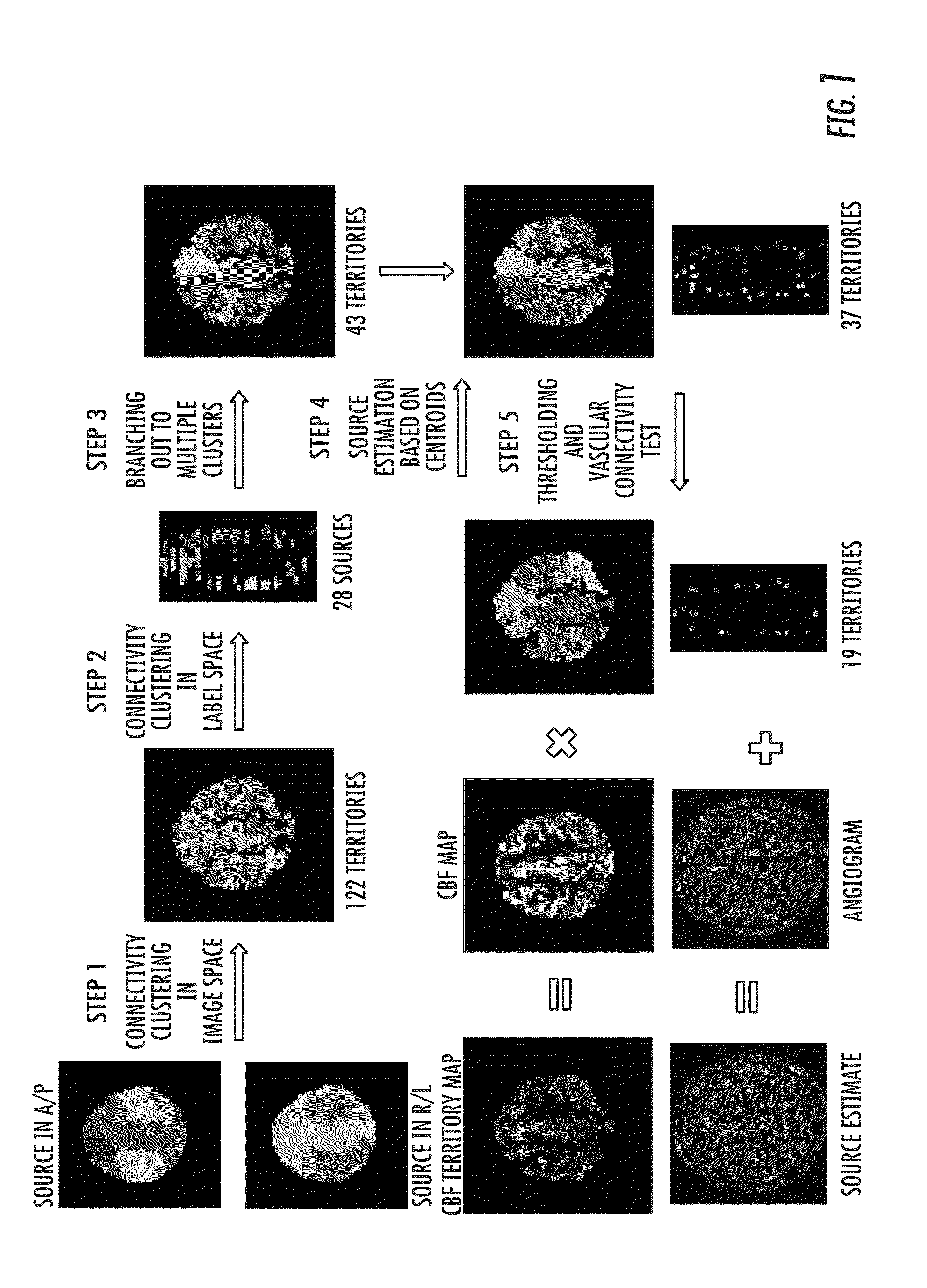 Vascular territory segmentation using mutual clustering information from image space and label space