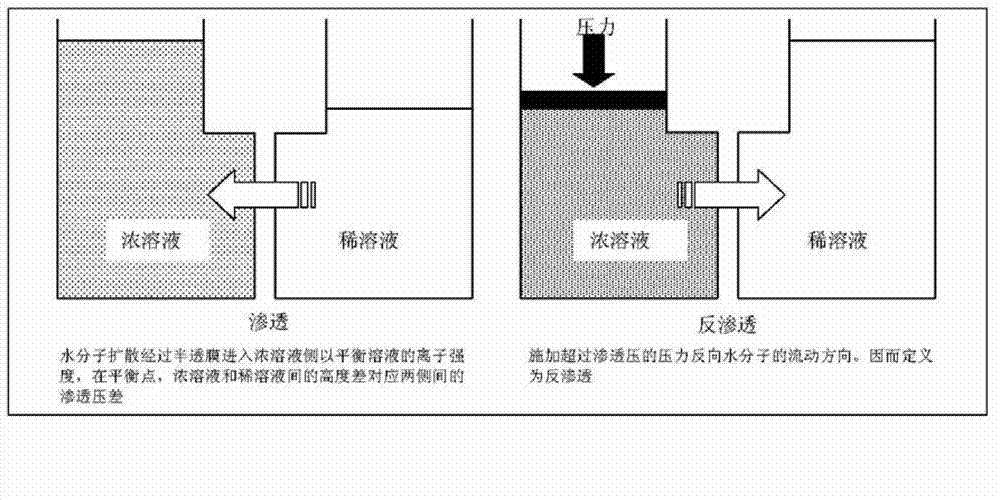 Coking wastewater treatment system and coking wastewater treatment method
