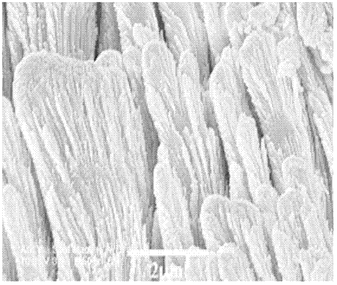 Method for preparing multi-grade antimonytelluride nano wire harness array by adopting physical vapor deposition