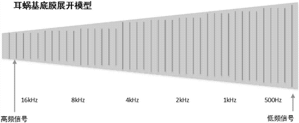 Detection method and device for brainstem auditory evoked potentials