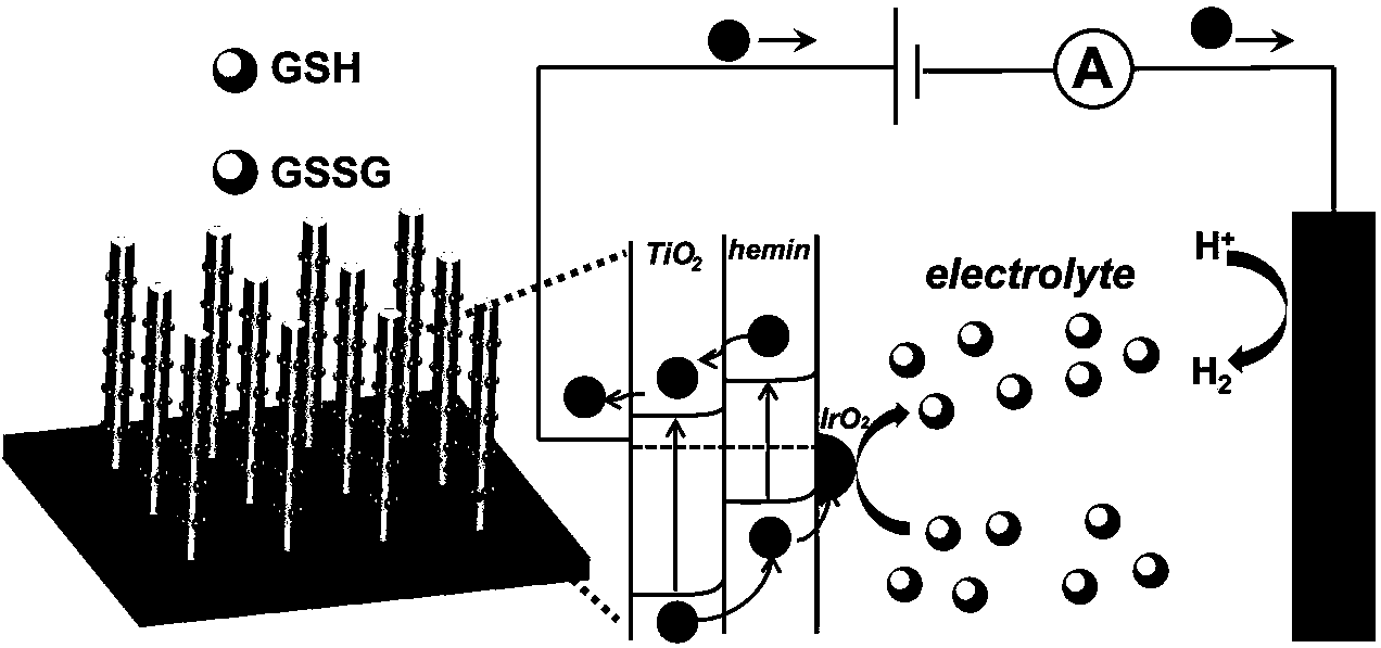 High-sensitivity photoelectrochemical sensor made from iridium oxide-ferriporphyrin-titanium oxide and preparation method for sensor