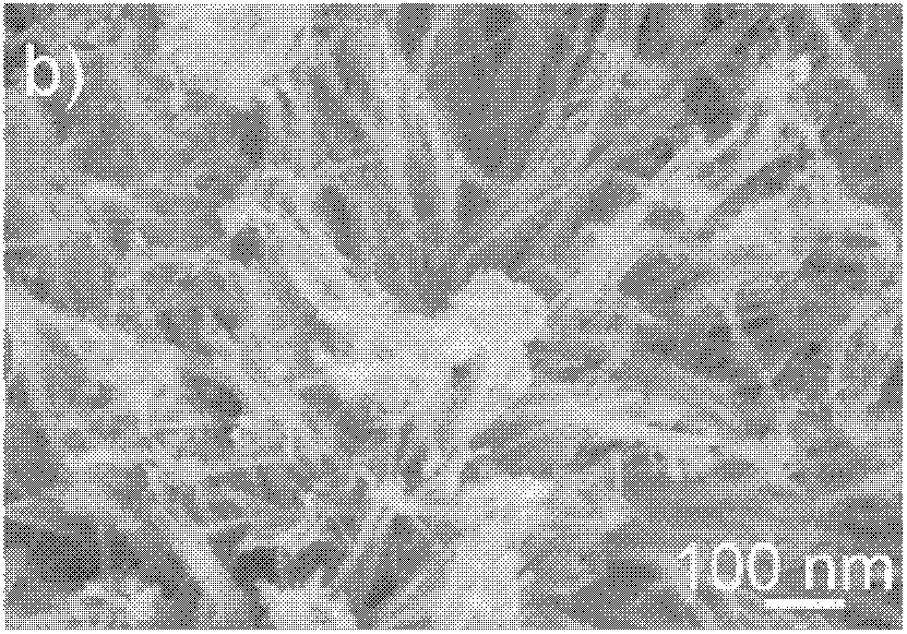 Titanium dioxide nano wire microsphere photocatalysis material with hydrogenated surface and preparation method thereof