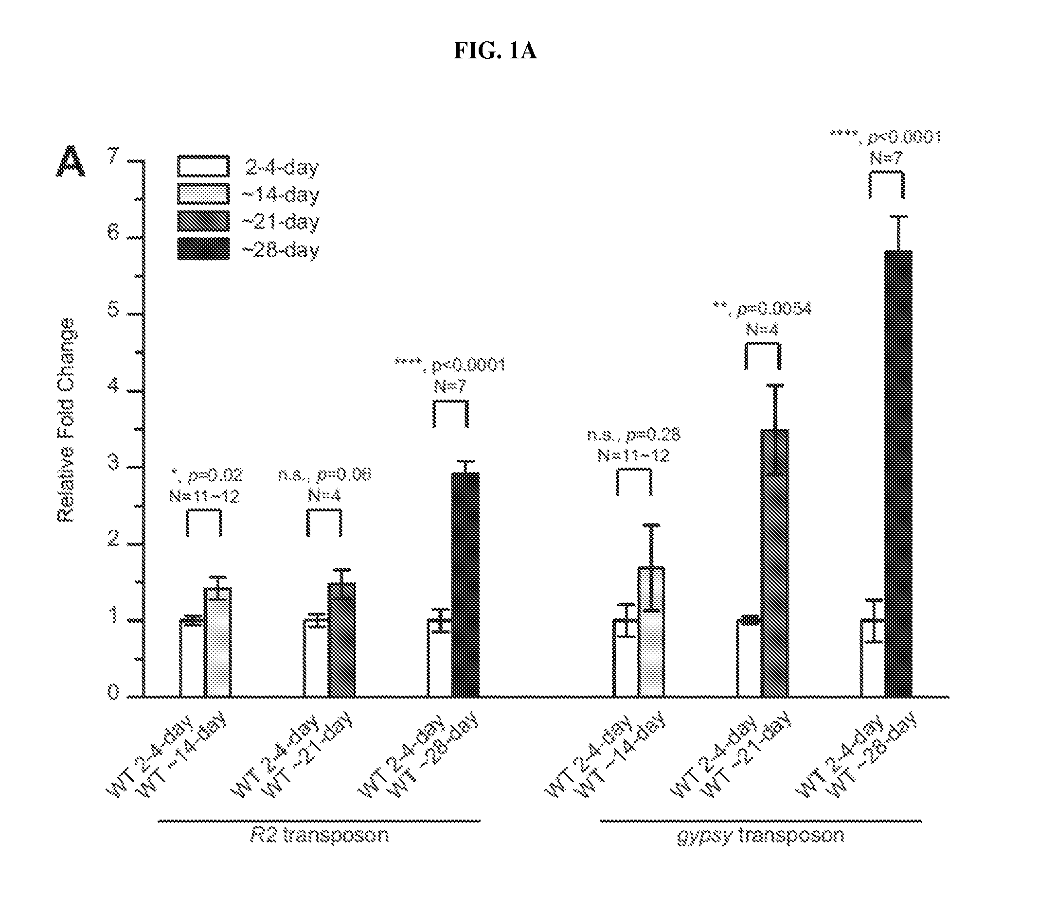 Transposon activation during aging and neuronal decline