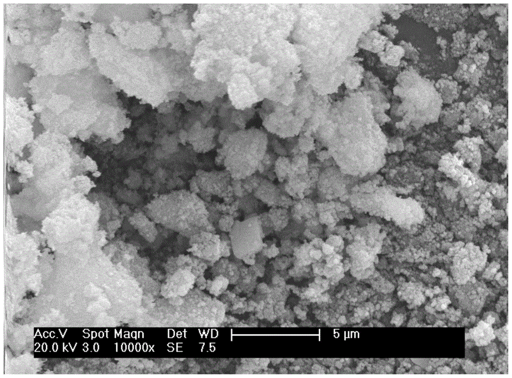 A Microbial Method for Remediation of Aromatic Hydrocarbon-Heavy Metal Ion Compound Pollution