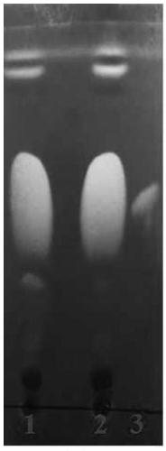 Preparation method of microalgae edible oil