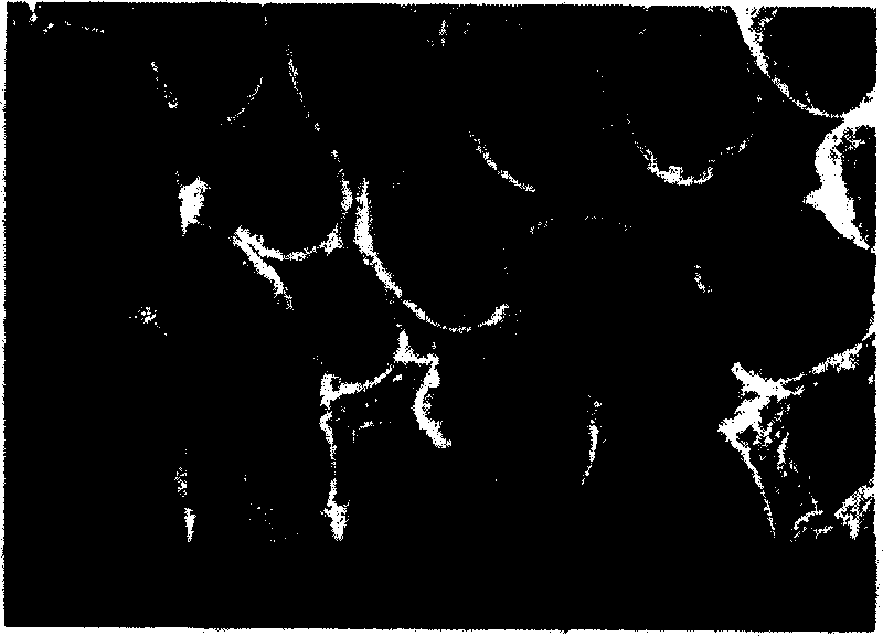 Technical method and schedule for preparation of foam carbon material used asphalt as raw material