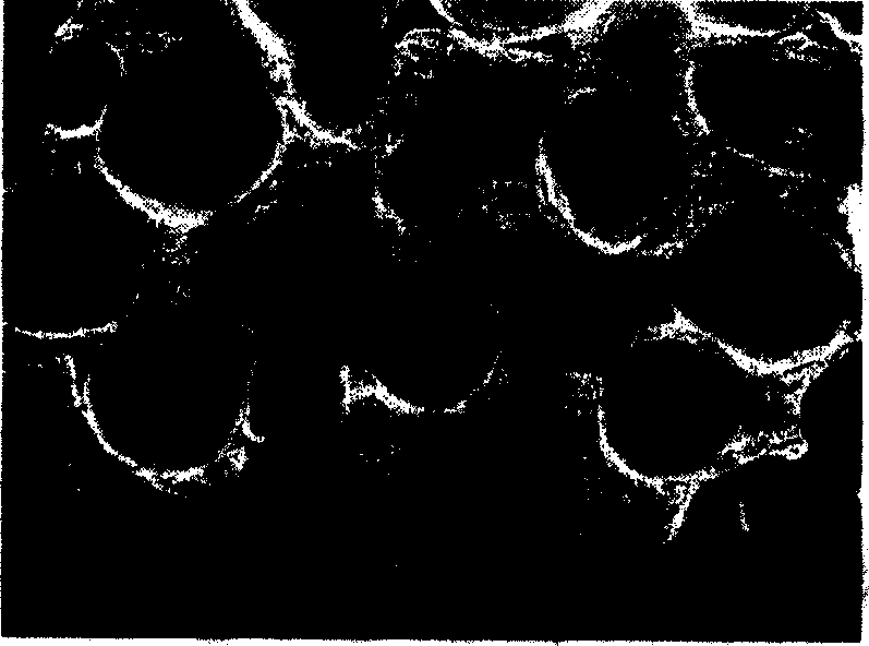 Technical method and schedule for preparation of foam carbon material used asphalt as raw material