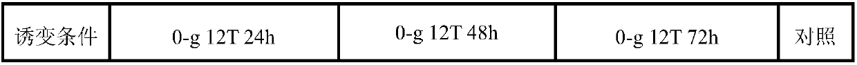 Mutagenesis method for collagenogenesis yeast on the basis of high-magnetic field gravity environment