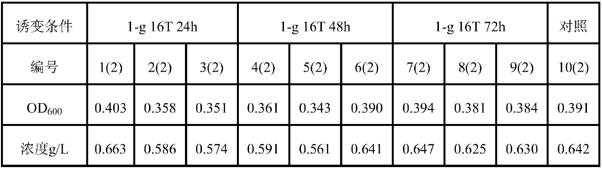 Mutagenesis method for collagenogenesis yeast on the basis of high-magnetic field gravity environment