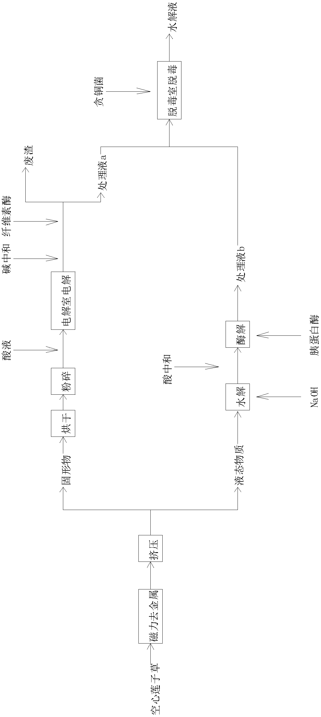 Hydrolysis saccharification process of alternanthera philoxeroides