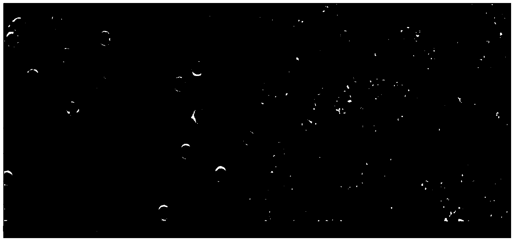 Method of separating chiral drug penicillamine enantiomer based on functional gold nanochannel