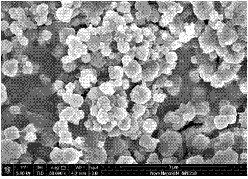 Preparation and application of nano zeolite reinforced xanthan gum composite hydrogel functional microspheres