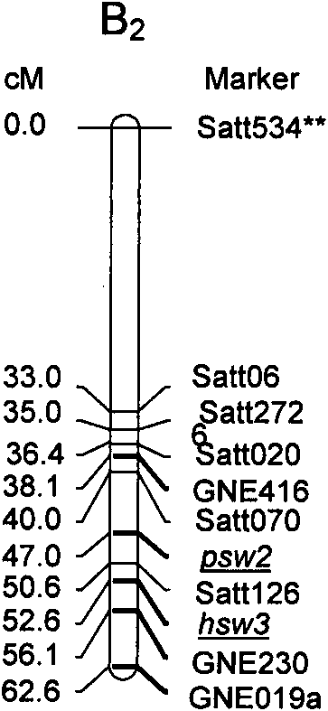 A pair of special primers for assisted evaluation of relevant locus of soybean seed weight and method thereof