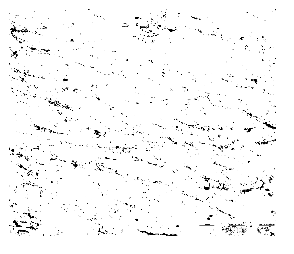 Novel high-chromium ferritic heat resistant steel and thermo-mechanical treatment process