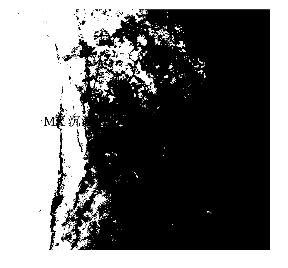 Novel high-chromium ferritic heat resistant steel and thermo-mechanical treatment process