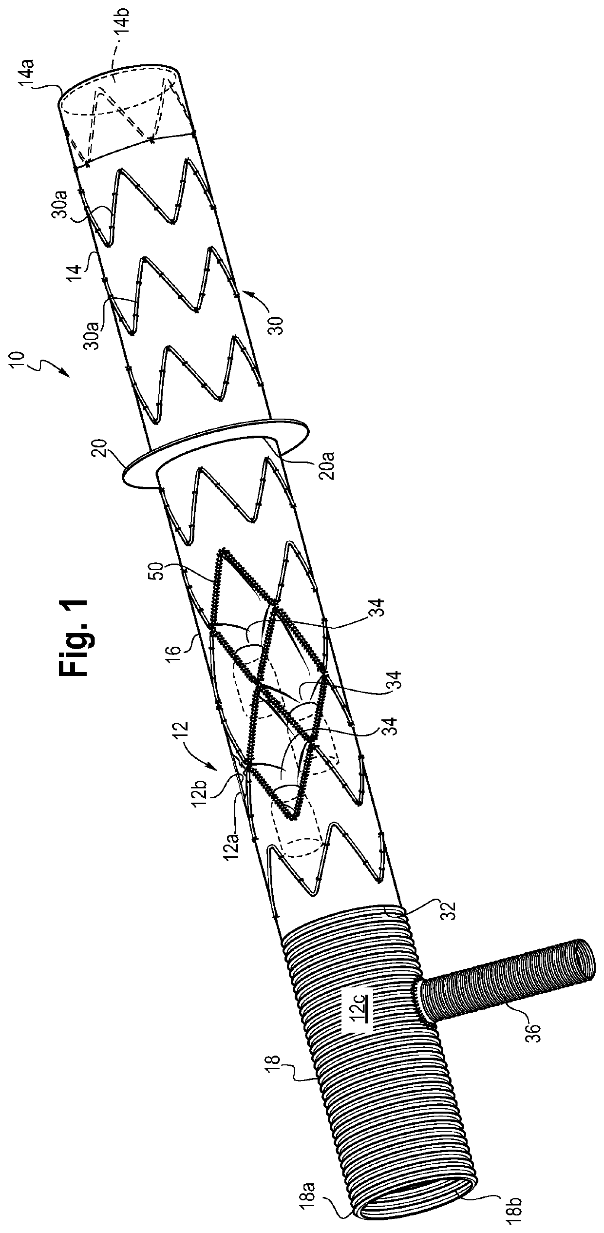 Branched frozen elephant trunk device and method