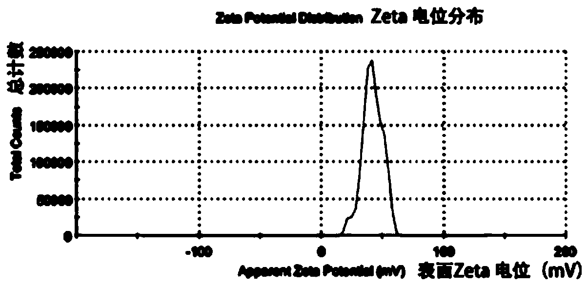 Cationic microbubble-rAAV-miRNA virus compound as well as preparation method and application thereof