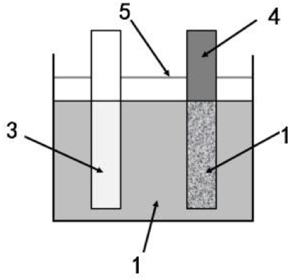 Novel aqueous magnesium metal secondary battery and preparation method thereof