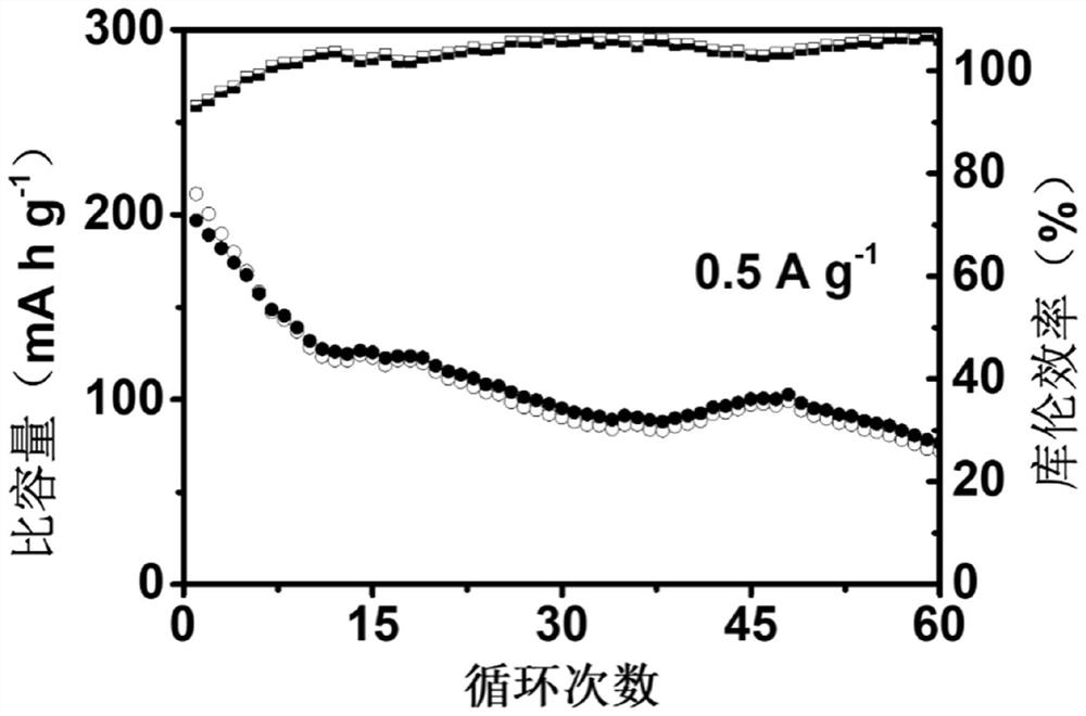 Novel aqueous magnesium metal secondary battery and preparation method thereof